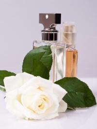 Perfume_leaf_rose.jpg