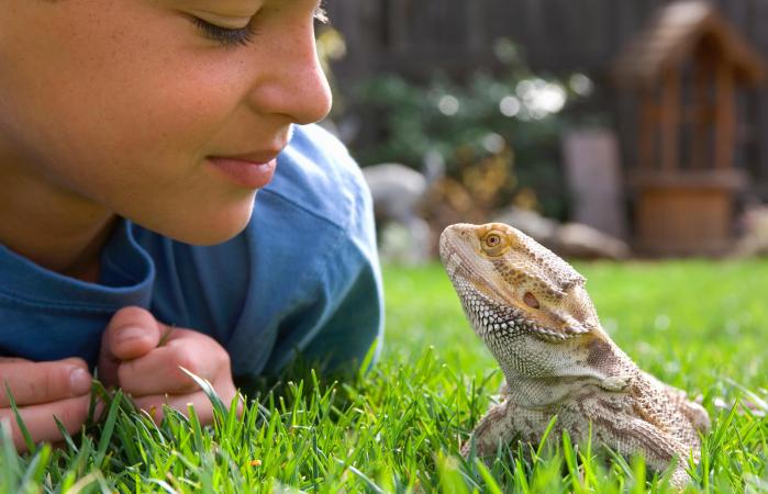 niño con su mascota lagarto