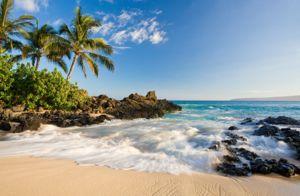 hawaii.jpg