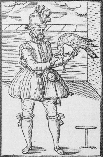 Falconer George Turberville