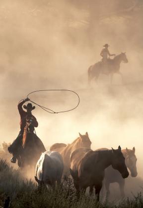 Action and Western go hand in hand