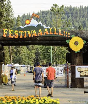 FestivALL Tickets