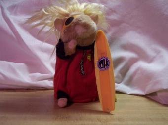 A Hamster!