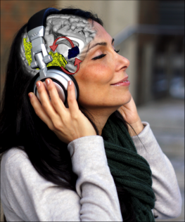 Woman Listening to Music Affecting the Brain | Photo © Peter Finnie and Ben Beheshti
