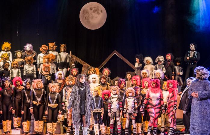 Cats The Musical