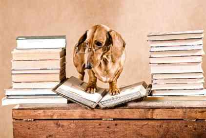 Information on animals isn't just in books!