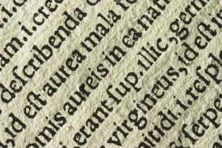 Online Latin Dictionary