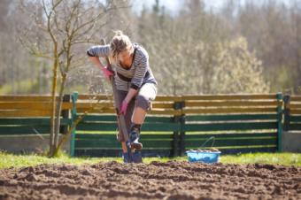 Gardener working the soil