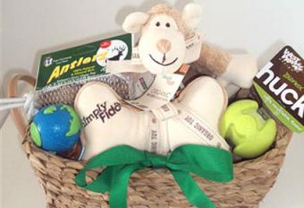 Organic Pet Boutique Toy Basket 