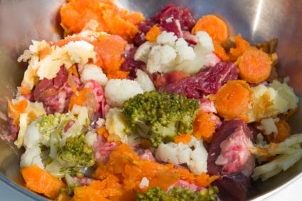 raw organic dog food