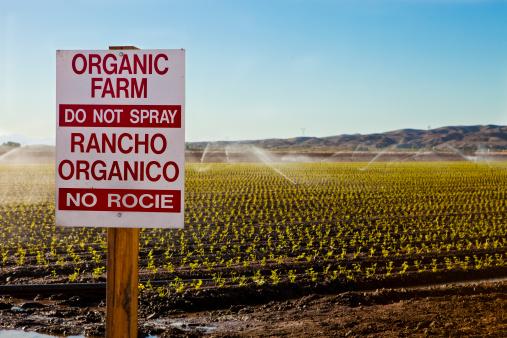 The Effects Of Organic Farming On The