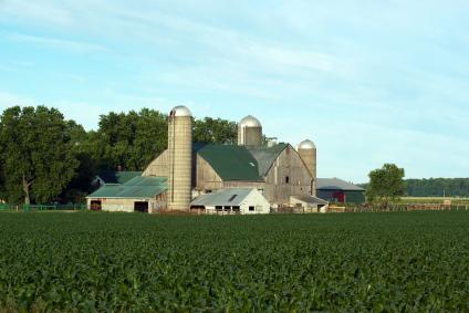 There are a number of Amish farms in Ontario.