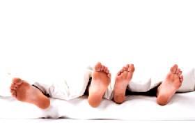 Organic furniture is gaining in popularity.