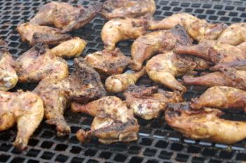 chicken