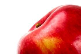 Test your organic knowledge.