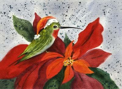 Poinsettias