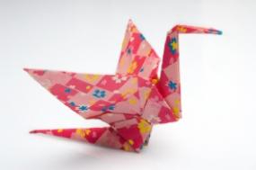 Try Other Origami Birds