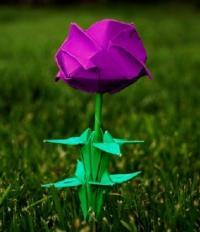 Origami Rose