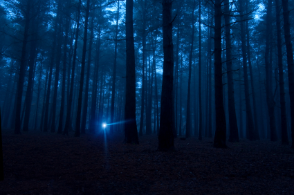 A-flashlight-shining-in-the-dark-woods.jpg