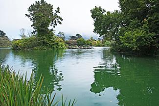 Golden Gate Park