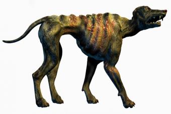 https://cf.ltkcdn.net/paranormal/images/slide/226230-704x469-Chupacabra-wild-dog-illustration.jpg
