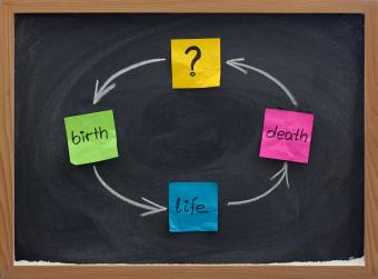 Reincarnation cycle of lifetimes