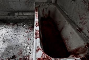 https://cf.ltkcdn.net/paranormal/images/slide/238431-850x567-bathtube.jpg