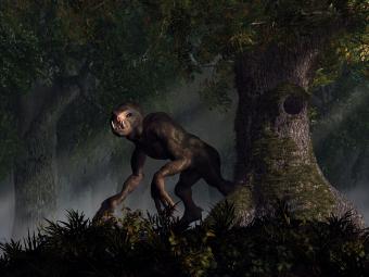 Artist's rendering of a forest cryptid