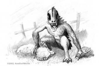 https://cf.ltkcdn.net/paranormal/images/slide/253766-850x567-14-images-chupacabra-characteristics.jpg