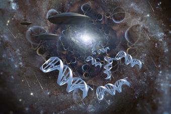 DNA strands in surreal space