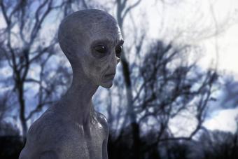 https://cf.ltkcdn.net/paranormal/images/slide/277155-850x567-grey-alien-in-the-forest.jpg