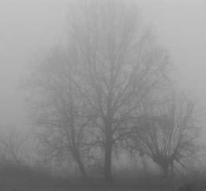 Spooky landscape