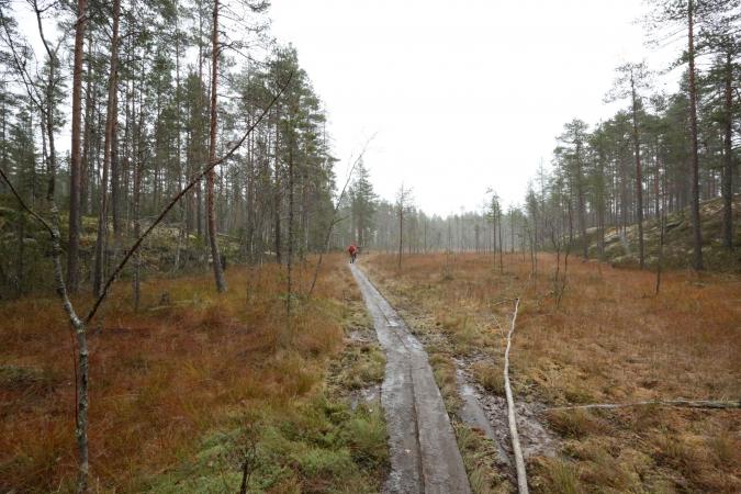 Father and son hiking on trail