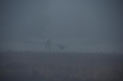 man and his dog