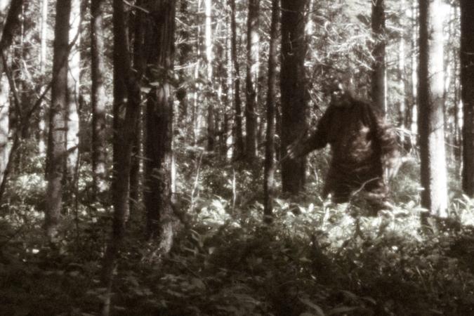 Sasquatch image