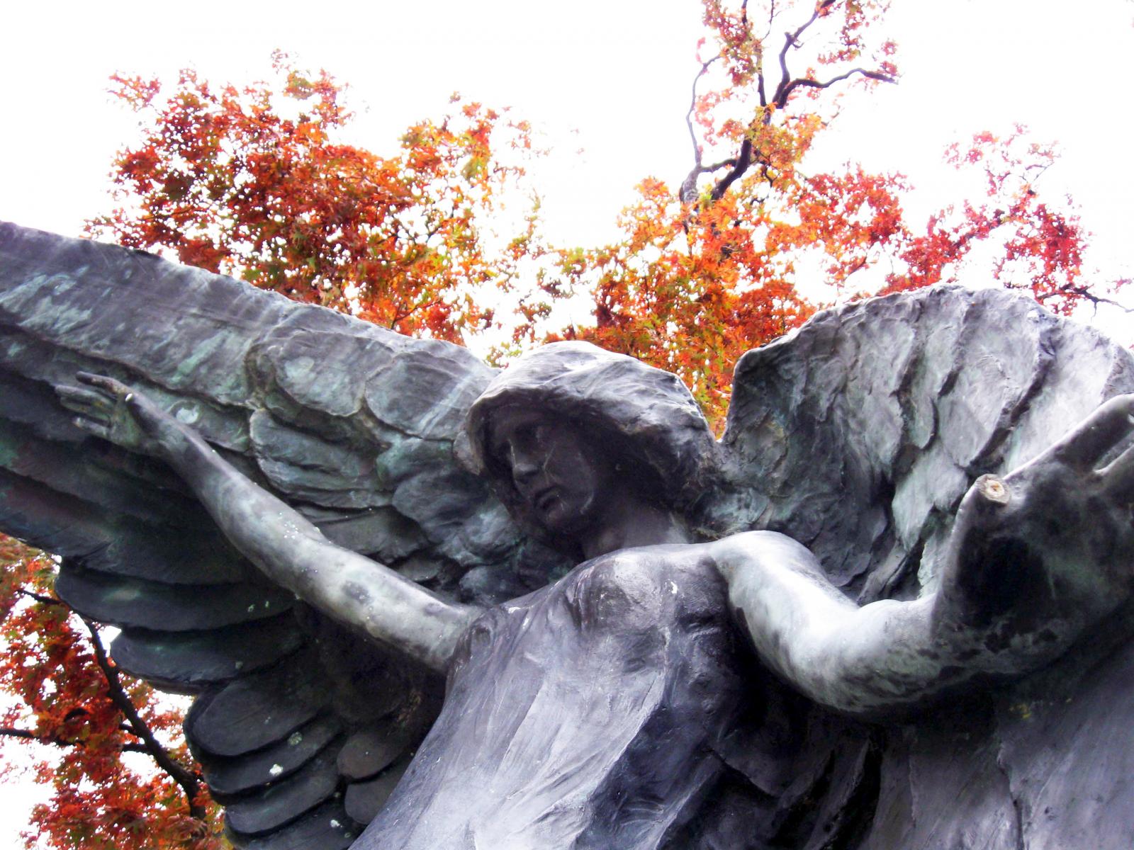 Image of black angel statue in Oakland Cemetery