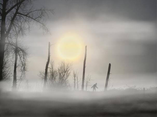 yeren-in-mist.jpg