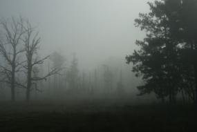 Restless spirits of runaway slaves haunt former stations