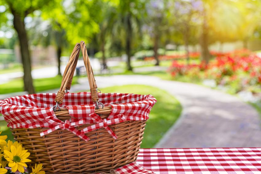 12 Summer Themes for Parties That Celebrate Sunny Days LoveToKnow