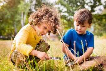 Little boys using a magnifying glass in a park