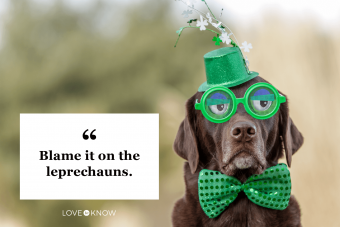 Inspirational Quotes about Leprechauns To Bring on the Luck