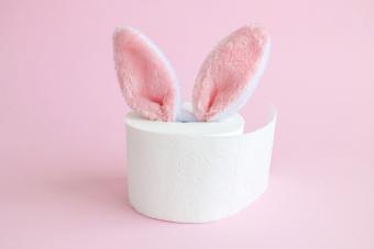 Bunny ears out of toilet paper roll