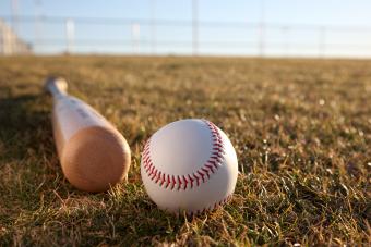 Baseball and bat on the grass