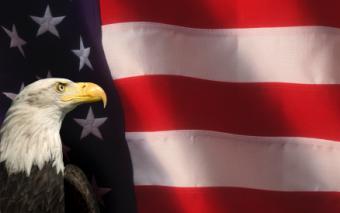 Eagle and flag