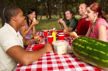 Summer picnic in the park