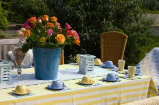 Tea Party Supply