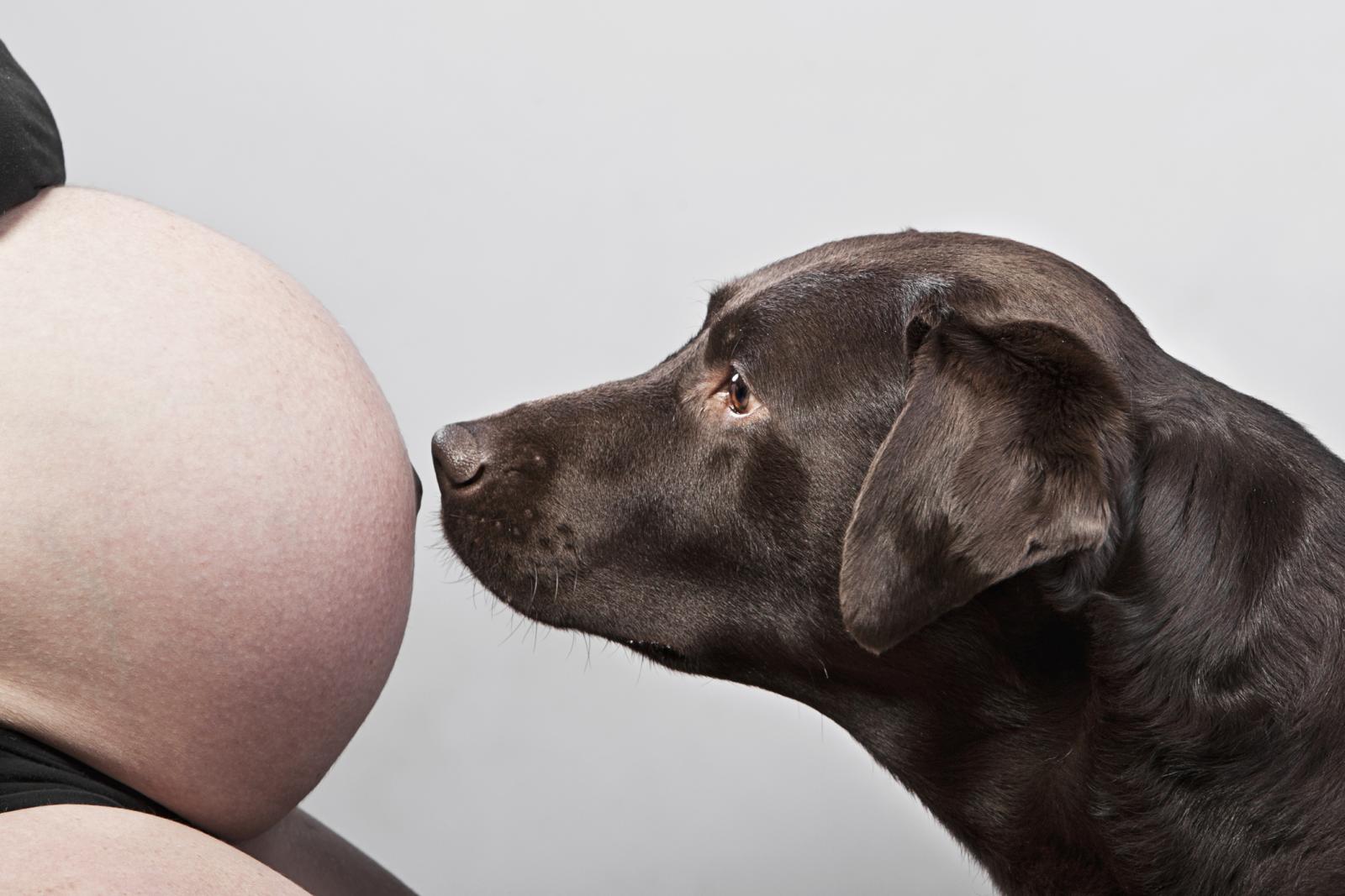 Mujer embarazada y perro