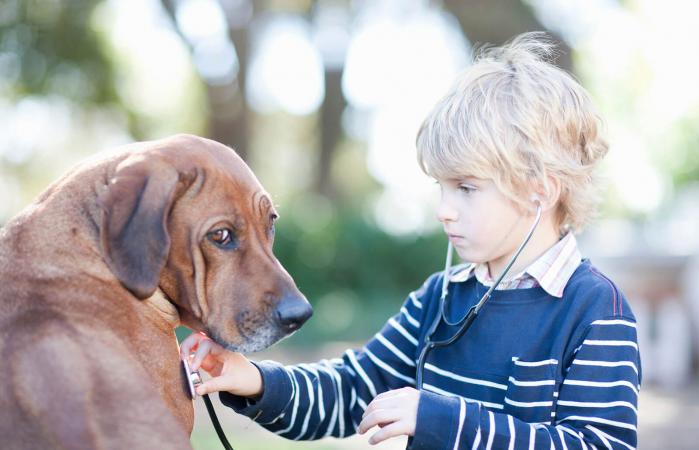 Niño usando estetoscopio en un perro