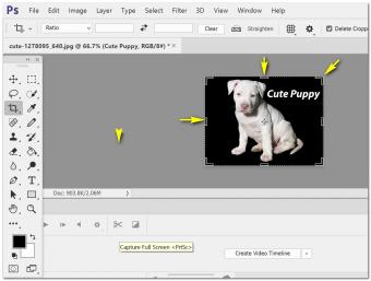 Cropping an Image in Photoshop
