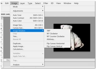 Rotating an Image in Photoshop